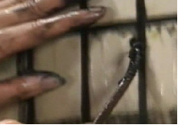 瓷砖粘结剂施工现场