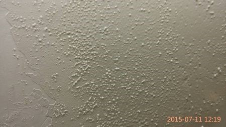 百万文字转载各坛论文500608-500608百万文字论坛-500505百万文字论坛资料转载-新500507百万文字论坛-798790百万文字论坛资料-百万文字论坛500608com-500507百万文字论坛资料砂浆